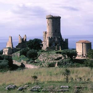 Velia