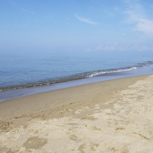 ilmare