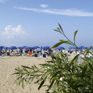 ilmare